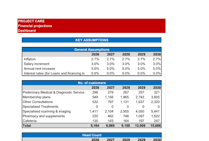 prepare financial projections, business plan and forecasts
